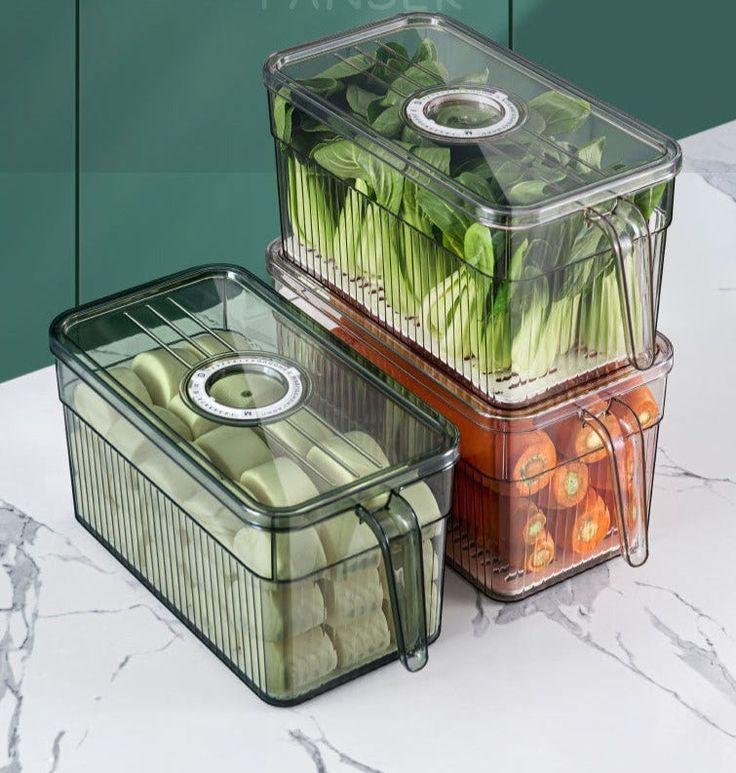Plastic Refrigerator Storage Box